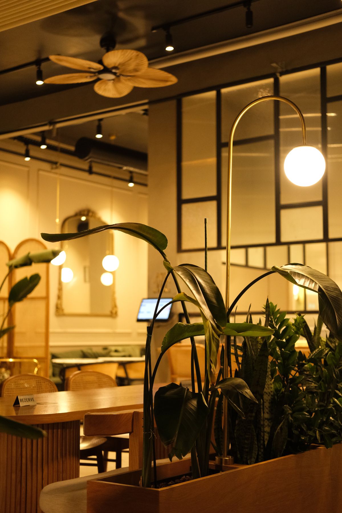 Café Bar Olvera